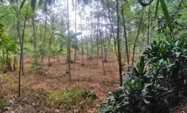 Dijual Cepat Istimewa Tanah Khusus Kavling2, Gudang dll