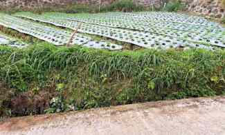 Dijual Cepat Tanah 187m2 Kemuning Karanganyar