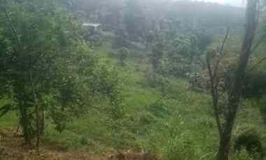 Dijual Cepat Tanah Darat