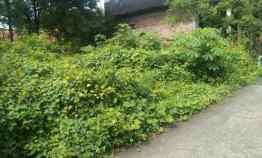 Dijual Cepat Tanah Jaten Karanganyar