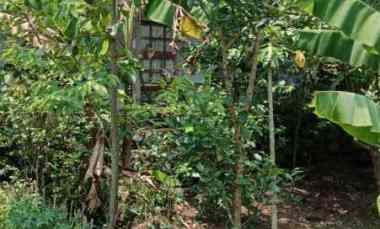 Dijual Cepat Tanah Murah 100m Urgent BU