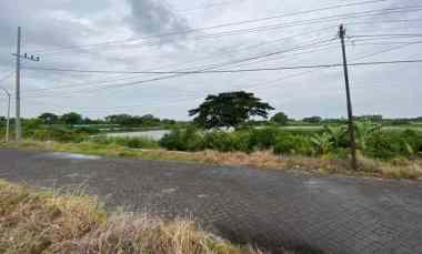 Dijual Cepat Tanah Murah di Duduksampeyan Gresik