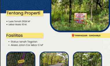 Dijual Cepat Tanah Tegalan Tawangsari Sukoharjo