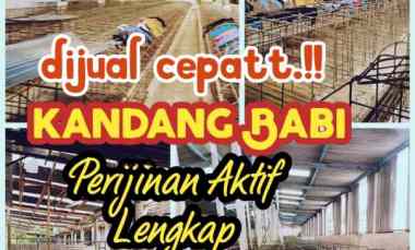 Dijual Kandang Babi 1,2Ha Ijin Aktif Salatiga 15M Nego