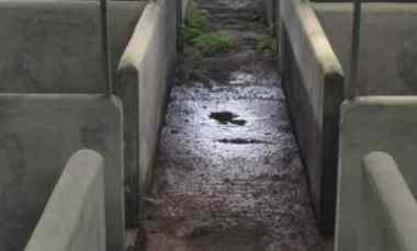 Tanah Dijual di Kintamani, Bangli, Bali