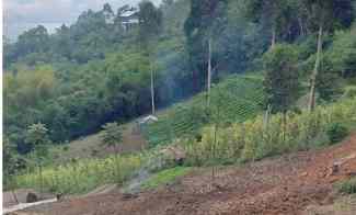 Tanah Dijual di Ciwidey, Bandung
