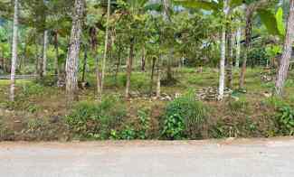 Dijual Kebun Durian dekat Pasar Kemuning Karanganyar