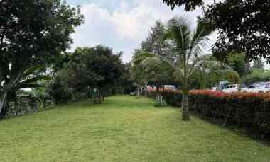 dijual kebun durian sudah berbuah di cijeruk bogor