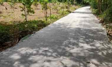Dijual Kebun Murah di Jasinga Bogor