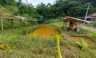 Dijual Kebun Murah di Leuwiliang Bogor