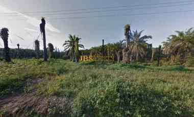 Dijual Kebun Sawit Daerah Gohor Lama - Langkat