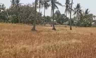 Dijual Lahan Bagus di Daerah Desa Sukatenang