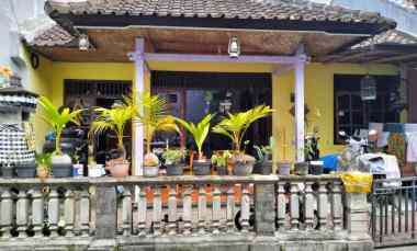 Dijual Murah Tanah Bonus Rumah di Kebo Iwa Denpasar