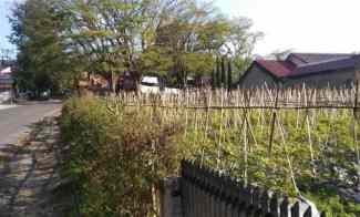 Dijual Murah Tanah Darat Strategis Lembang
