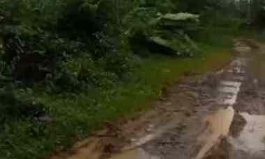 Dijual Murah Tanah DI Jasinga Bogor