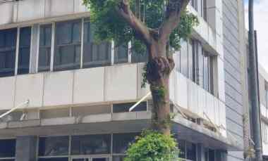 Dijual Ruko di Prominence Alam Sutera, Pinang, Tangerang