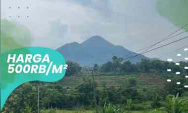 Tanah Villa Luasan Lebar Pacet Mojokerto Zona Pemukiman