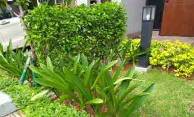 Rumah Semi Furnished Cluster Magenta Residence Summarecon Bekasi