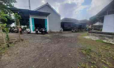 dijual rumah di blambangan kec muncar kab banyuwangi