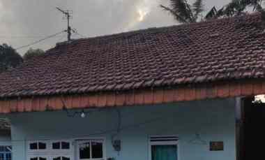 Dijual Rumah di jl Raya JlJember No 3, Krajan, Desa Kabat Kec Kabat