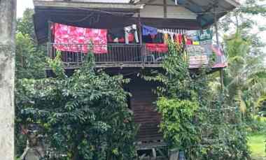 dijual rumah dijual rumah di tani