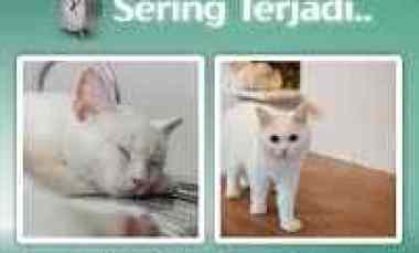 Dapatkan Rumah View Gunung Salak, DP 3 juta all in - Kila Hills