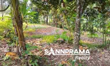 Tanah Luas Dijual Bonus Rumah di Kalisuren Tajur Halang Bogor