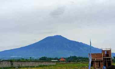 Dijual Rumah Lokasi Strategis dekat Jalan Raya