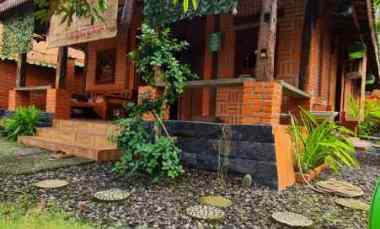 Homestay Konsep Limasan dan Joglo Murah di Moyudan, Sleman