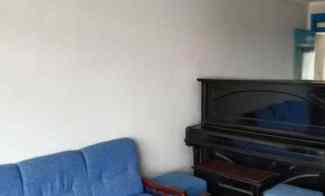 SIAP HUNI Mulyosari Timur Row Jalan Lebar, Lingkungan Nyaman