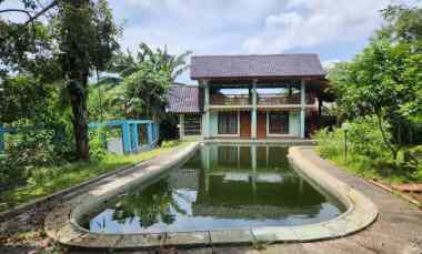 Rumah Ada Pool Area Pejaten Timur, 400 meter ke Jln Kemuning Raya