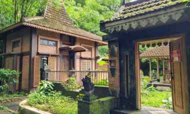 Rumah Besar Tanah Luas 778m hanya Setengah Harga di Minggir