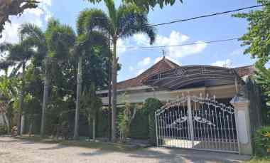 Rumah Dijual di Sempusari