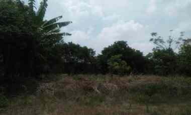 Dijual Cepat Tanah Prapatan Purwadadi Subang