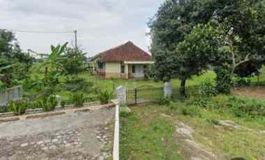 Dijual Rumah Tanah Sangat Luas di Beber Cirebon