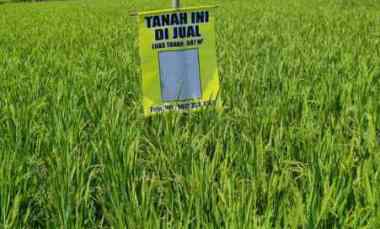 Dijual Sawah Produktif di Bandung Selatan