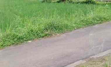 Tanah Dijual di desain wanasaba