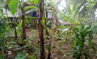 Dijual Segera Lahan Tanah Murah