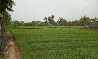 Dijual Tanah Darat di Kedung Pengawas Babelan Bekasi