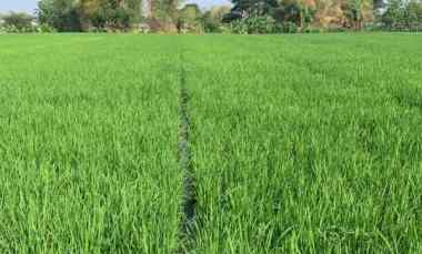 Dijual Tanah 5 menit ke Tol Sragen