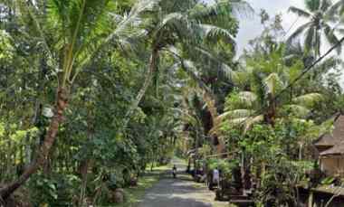 dijual tanah abiansemal