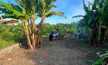 Dijual 2 are, jl. Raya Sibang Gede Angantaka Abiansemal Badung