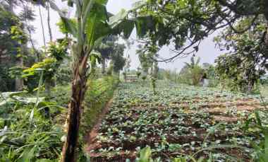 Dijual Tanah Area Cihanjuang Parongpong Bandung Barat