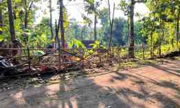 Dijual Tanah Asri 135 juta Kedawung Sragen