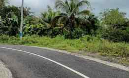 Tanah Dijual di Bajera, Tabanan, Bali