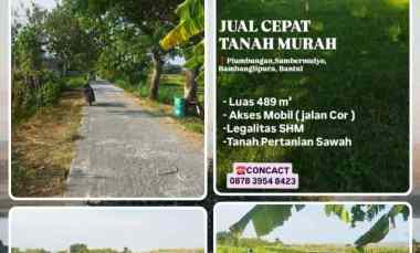 Dijual Cepat Tanah Sawah Murah Strategis di Bambanglipura, Bantul, Diy