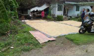 Tanah Kosong Murah dekat Kota Bantul Ideal untuk Hunian