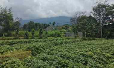 Dijual Tanah Pinggir jl View Gunung di Cilimus Kab.kuningan