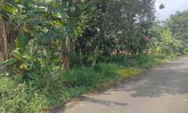 Tanah Dijual di Bandorasa kec. cilimus kuningan