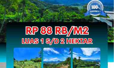 Jual Tanah Murah di Ciwidey Cocok untuk Villa dan Perkebunan